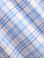 Polo Ralph Lauren - Poplin Stretch Shirt - Check - Blue, Pink Multi