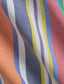 Polo Ralph Lauren - Oxford Shirt - Stripe - Navy, Red, Multi