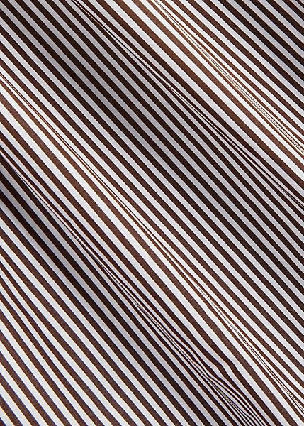 Polo Ralph Lauren - Poplin Stretch Shirt - Stripe - Brown/White
