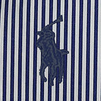 Polo Ralph Lauren - Cotton Shirt - Stripe - White & Blue