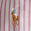 Polo Ralph Lauren - Oxford Shirt - Stripe - Pink & White