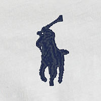 Polo Ralph Lauren - Long Sleeve Crew Neck Tee - White