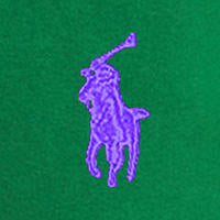 Polo Ralph Lauren Custom Fit Garment-Dyed Oxford Shirt - Athletic Green