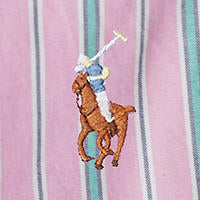 Polo Ralph Lauren - Oxford Shirt - Stripe - Pink, Green & White