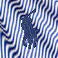 Polo Ralph Lauren - Poplin Stretch Shirt - Stripe - Big & Tall Sizes - Blue & White