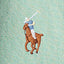 Polo Ralph Lauren - Oxford Shirt - Green