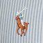 Polo Ralph Lauren - Oxford Shirt - Stripe - Big & Tall Sizes - Blue & White