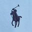 Polo Ralph Lauren - Garment-dyed Oxford Shirt - Blue/Light Blue