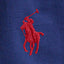 Polo Ralph Lauren - Classic Fit Colour Block Jersey T-Shirt - Light Navy Multi