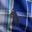 Polo Ralph Lauren - Poplin Stretch Shirt - Check - Blue, Orange Multi