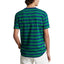 Classic Fit Jersey Crewneck T-Shirt - Stripe - Green & Blue