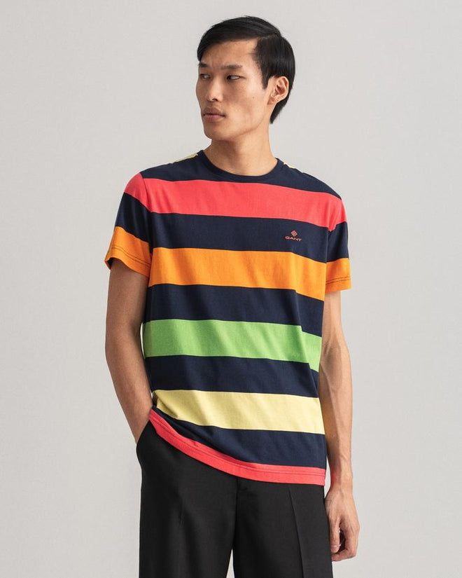 Barstripe T-Shirt - Multicolour