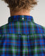 Brushed Oxford Shirt - Tartan - Forest Green, Blue, Red & Yellow