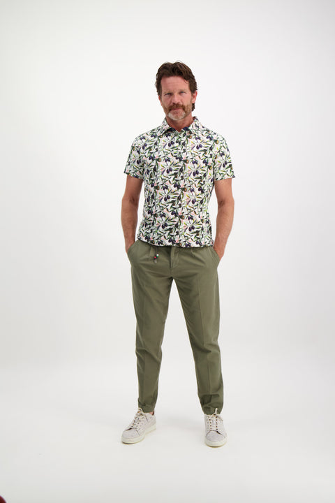 A Fish Named Fred - Casual Chino - Peached Twill - Sage Green