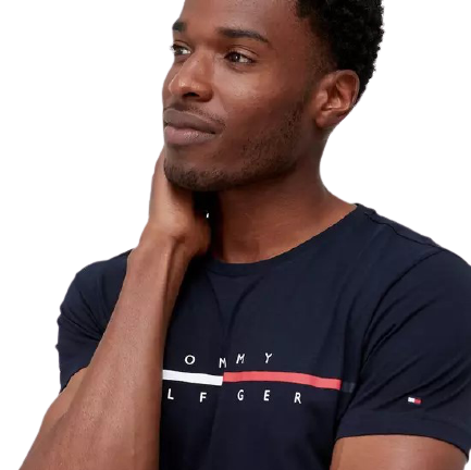 Tommy_Hilfiger_Corp_Split_Logo_Tee_Desert_Sky
