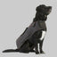 Swanndri Hunter Oilskin Dog Jacket - Brown