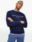 Tommy Logo Flex Sweatshirt - Desert Sky