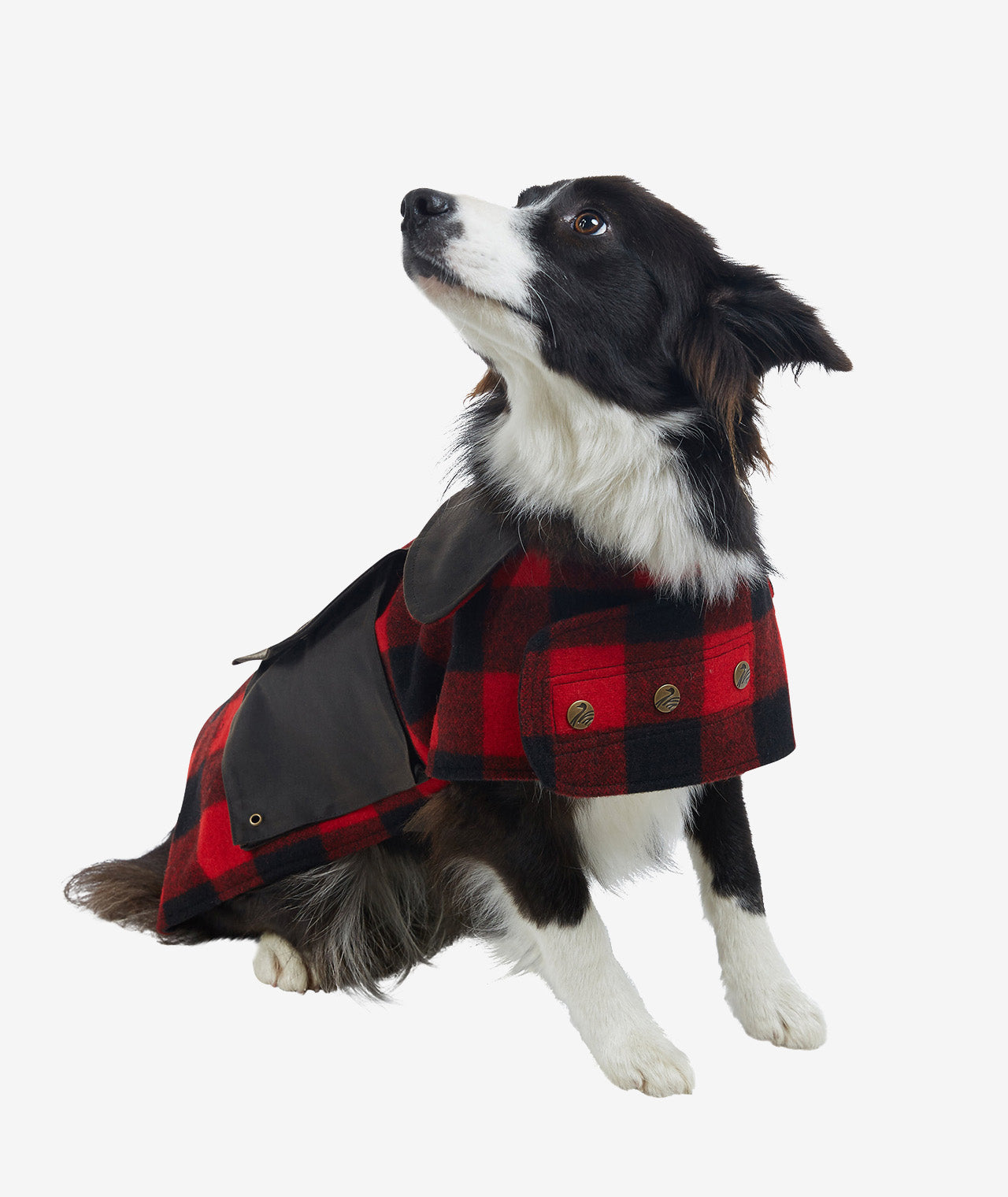 Swanndri - Classic Wool Dog Coat - Heritage Check | Red & Black Check
